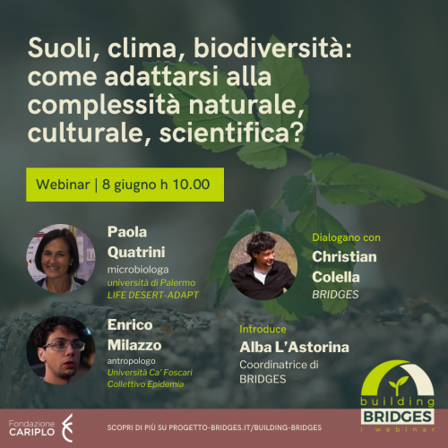 Secondo webinar Building Bridges