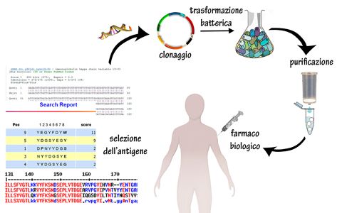 immunizzazione genetica contro il cancro
